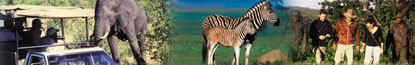 Pilansberg Game Drives 