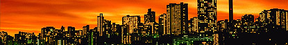 Johannesburg City